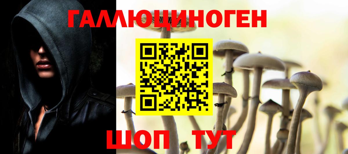 Псилоцибиновые грибы прущие грибы Нефтекумск